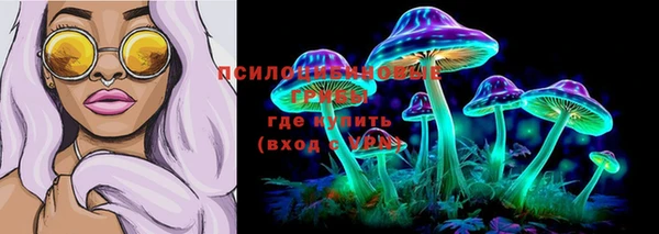 шишки Аркадак