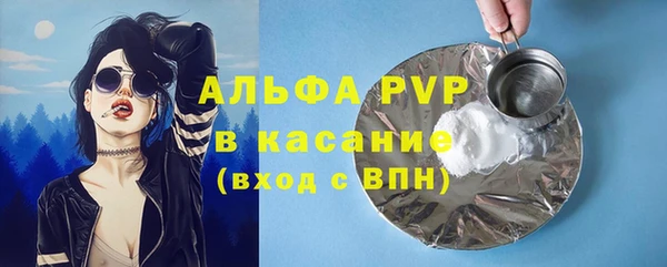 шишки Аркадак