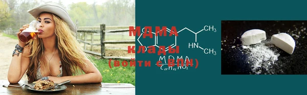 шишки Аркадак