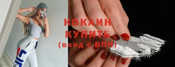 шишки Аркадак