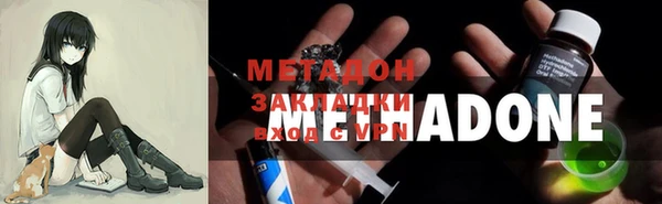 шишки Аркадак