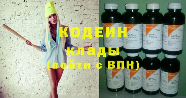 хмурый Пересвет