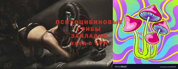 шишки Аркадак
