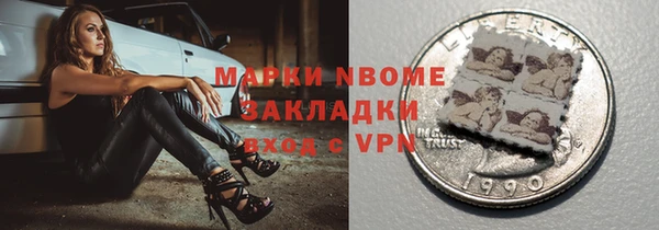 шишки Аркадак