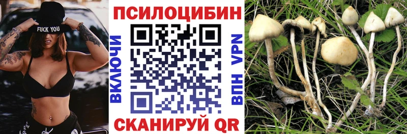 Псилоцибиновые грибы мухоморы  Солигалич 